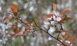 Featured image of post 初中的最后一次春游春游