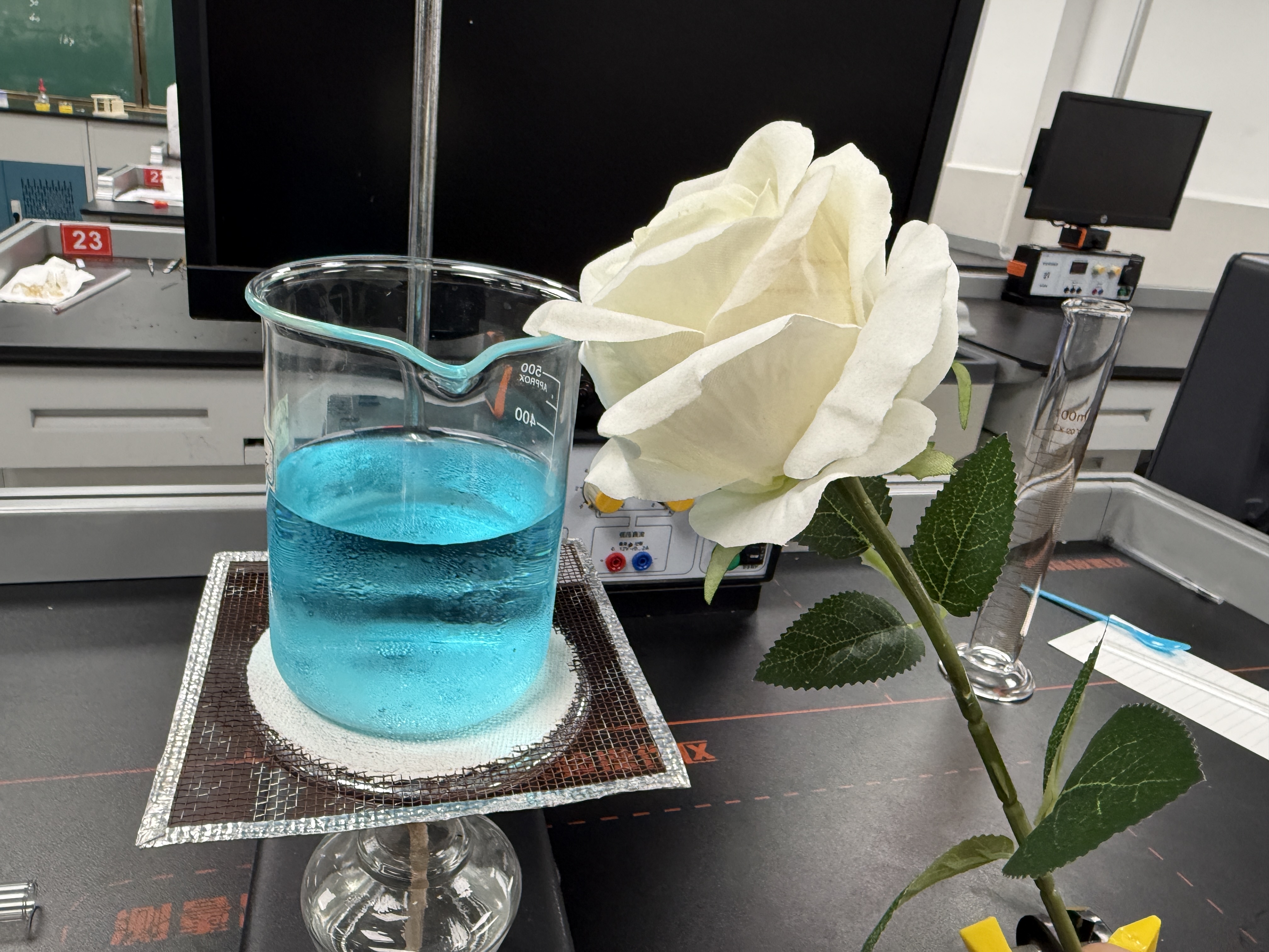 Featured image of post 实验室❌，胡闹厨房✅